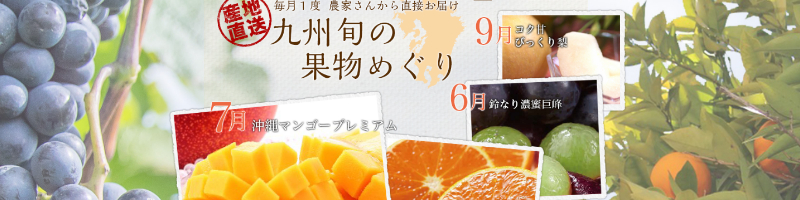 �������킯���@��B�{�̉ʕ��߂�����T�C�g